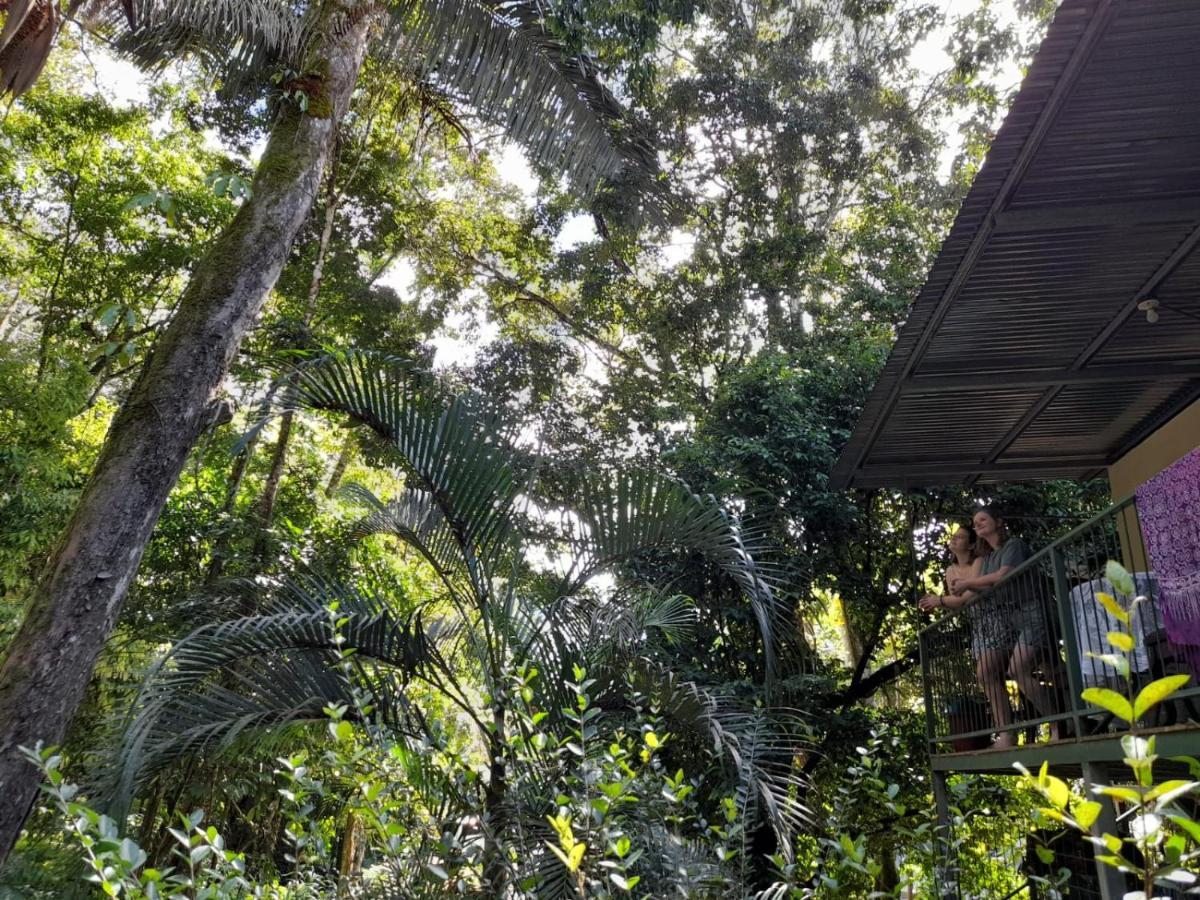 Casa Escondida Apartments Manuel Antonio Eksteriør bilde